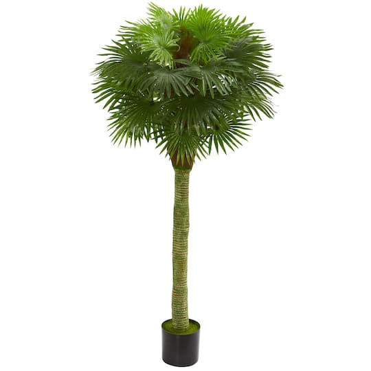 5.5ft. Potted UV Resistant Fan Palm Artificial Tree
